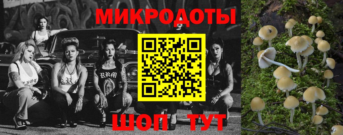 Псилоцибиновые грибы прущие грибы Кемерово