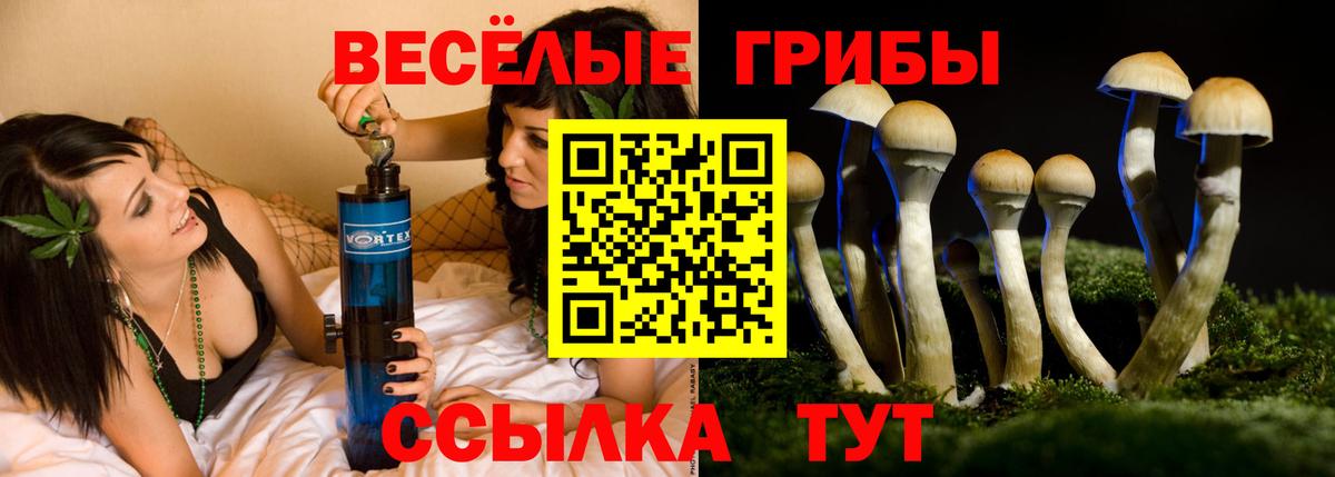 Кемерово  Галлюциногенные грибы мицелий  купить закладку  Вход с VPN  Галлюциногенные грибы прущие грибы 